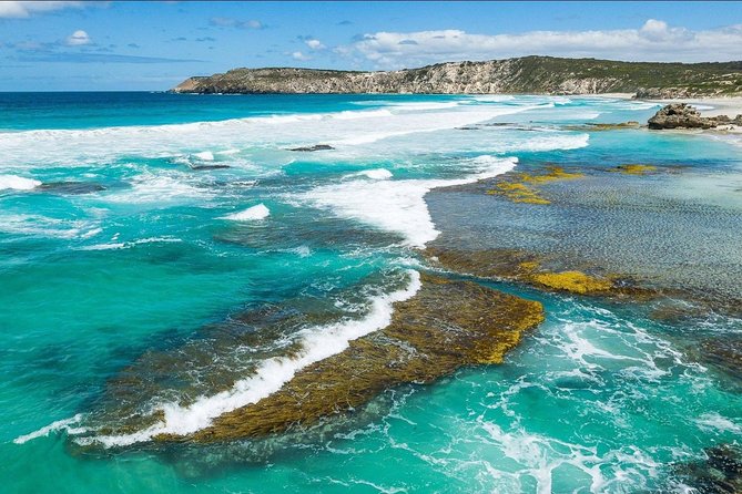 Kangaroo Island Shore Excursion Tasting Tour - For Cruise Ship Passengers Only - Inclusions and Pricing
