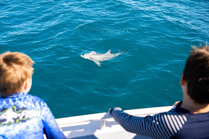Kangaroo Island - Swim With Dolphins/Seals/Coastal Snorkel - Wildlife Encounters