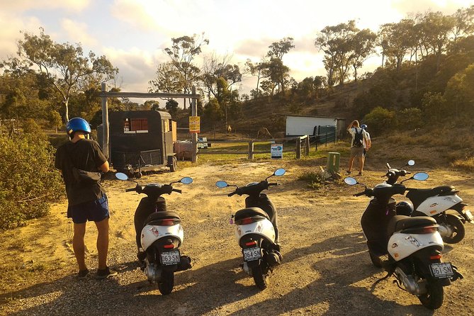 Kangaroo & Sunset Scooter Tour - Transportation and Accessibility