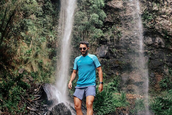 Kangaroos, 6 Springbrook Waterfalls and Natural Bridge Day Tour - The Circuit of Twin Falls