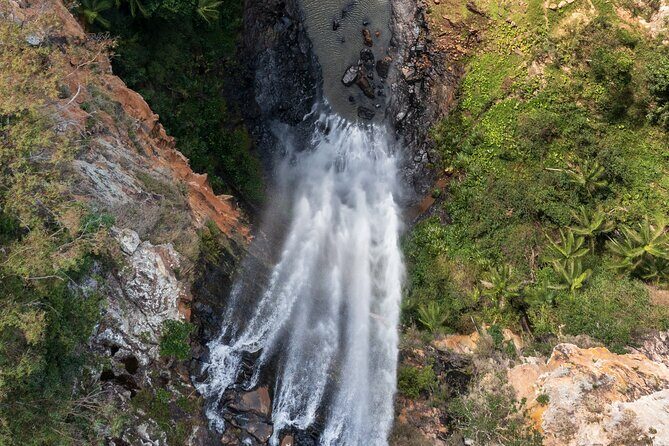 Kangaroos, 6 Springbrook Waterfalls and Natural Bridge Day Tour - Canyon Lookout: A Panoramic View