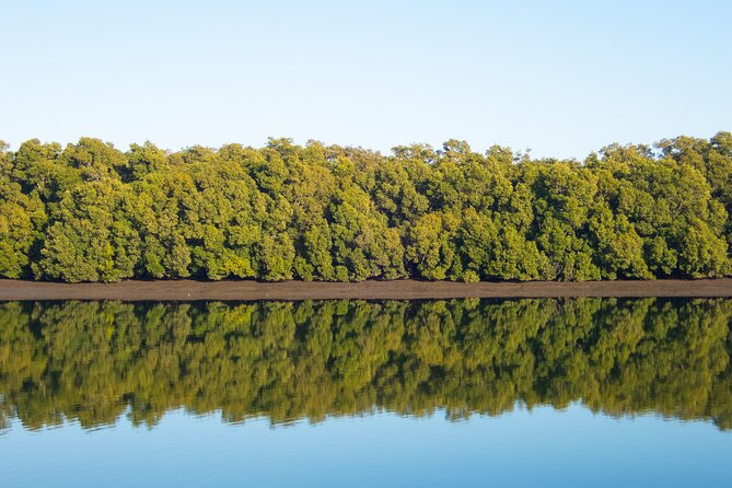 Kangaroos, Mangroves and the Ocean - Positive Reviews