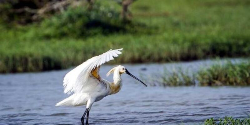 Kanneliya Forest Discovery: Guided Nature Expedition - Expedition Itinerary