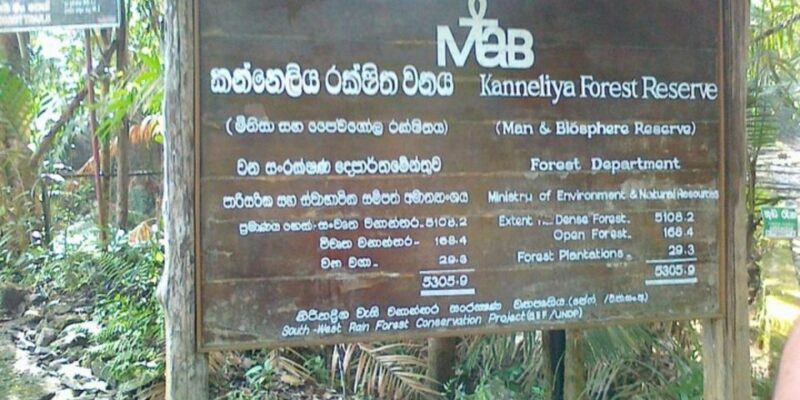 Kanneliya Forest Discovery: Guided Nature Expedition - Included Amenities