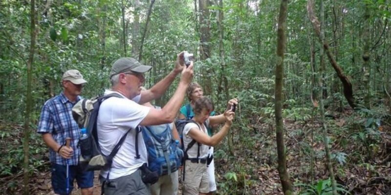 Kanneliya Forest Discovery: Guided Nature Expedition - Pickup and Transportation