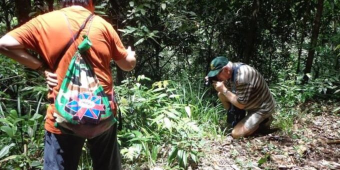 Kanneliya Forest Discovery: Guided Nature Expedition - Frequently Asked Questions