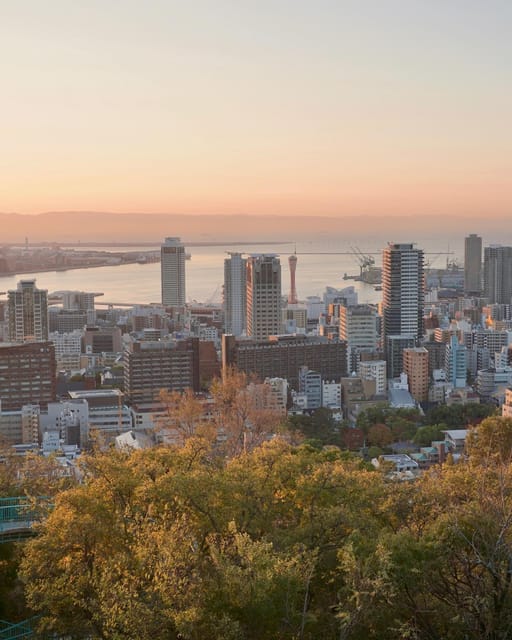 Kansai 10-Hour Chartered Day Trip | Kobe - Other Information