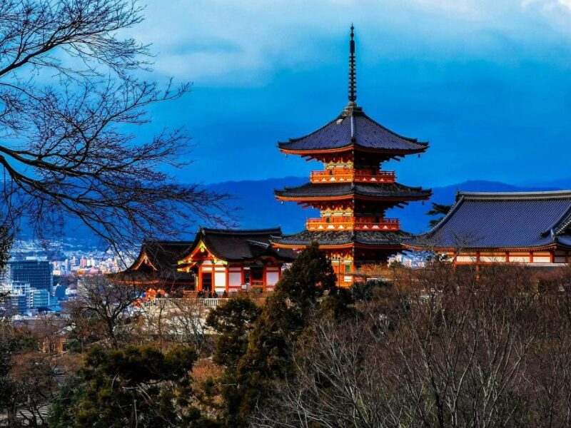 Kansai 10-Hour Chartered Day Trip | Kyoto - Multilingual Services