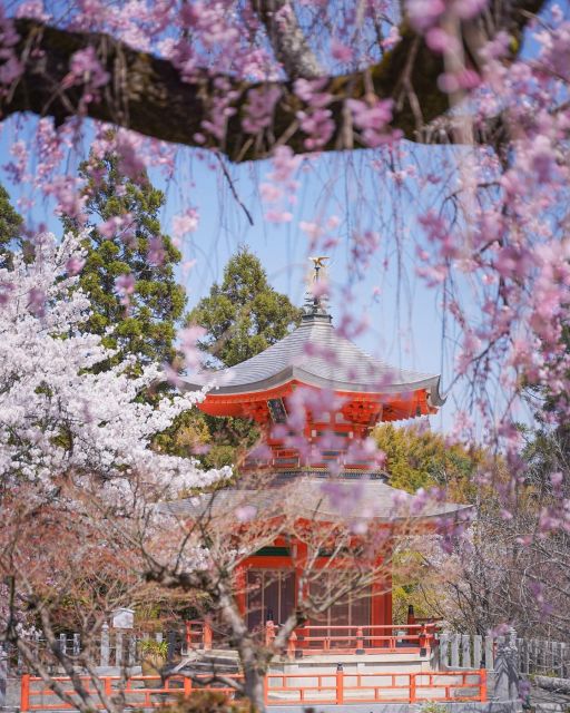 Kansai 10-Hour Chartered Day Trip | Kyoto - Flexible Departure Times