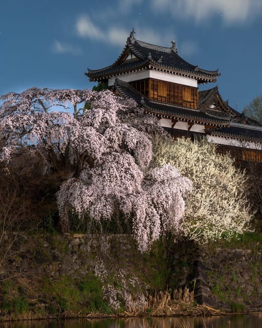 Kansai 10-Hour Chartered Day Trip | Nara City - Frequently Asked Questions