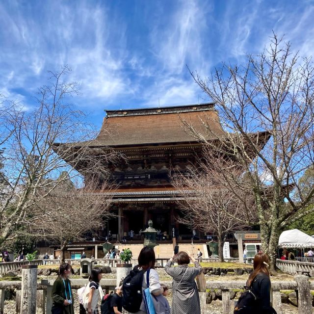 Kansai 10-Hour Chartered Day Trip | Osaka City - Customizable Itinerary