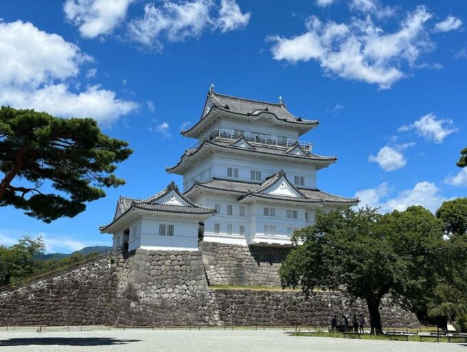 Kansai 10-Hour Chartered Day Trip | Osaka City - Comfortable, Green Vehicle
