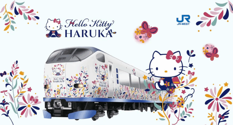 Kansai Airport Express HARUKA One-way Ticket - Key Points