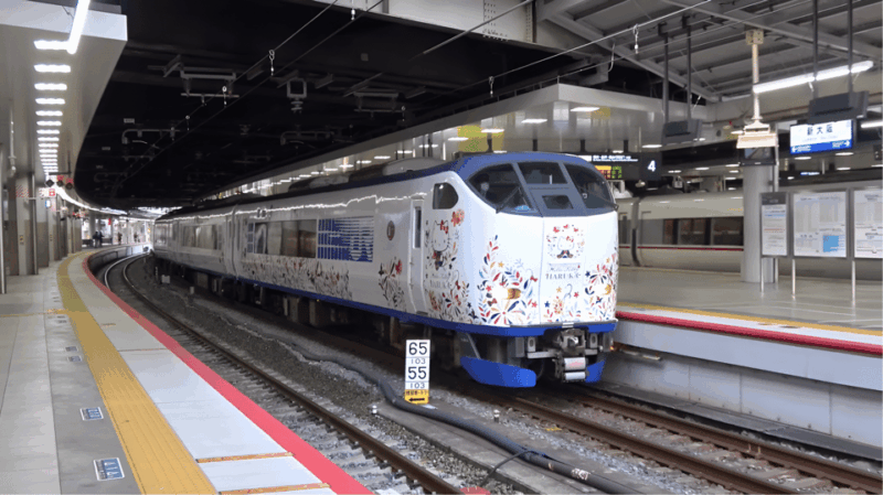 Kansai Airport Express HARUKA One-way Ticket - Highlights of the Journey