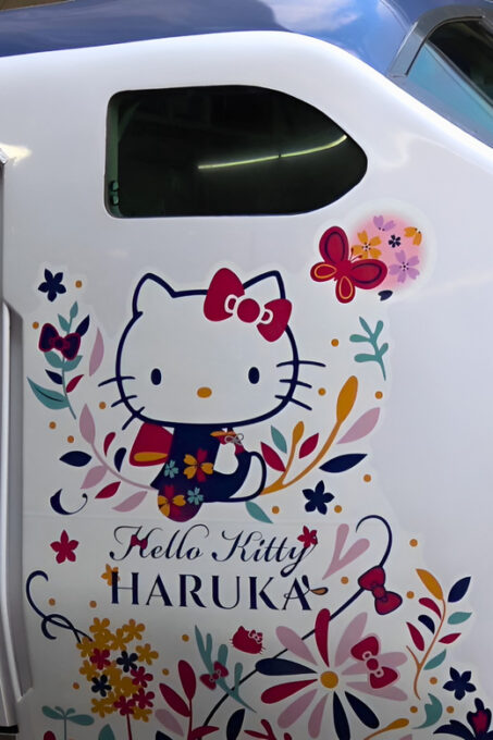 Kansai Airport Express HARUKA One-way Ticket - Infant Accompaniment