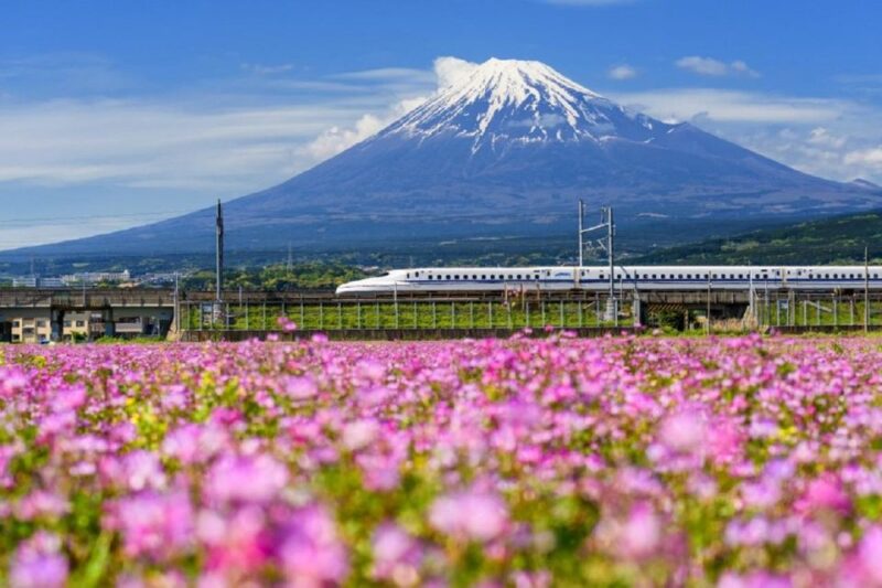 Kansai Airport Express HARUKA One-way Ticket - Key Points