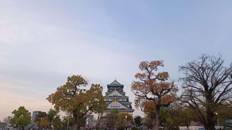 KANSAI Airport Transfer - Key Points