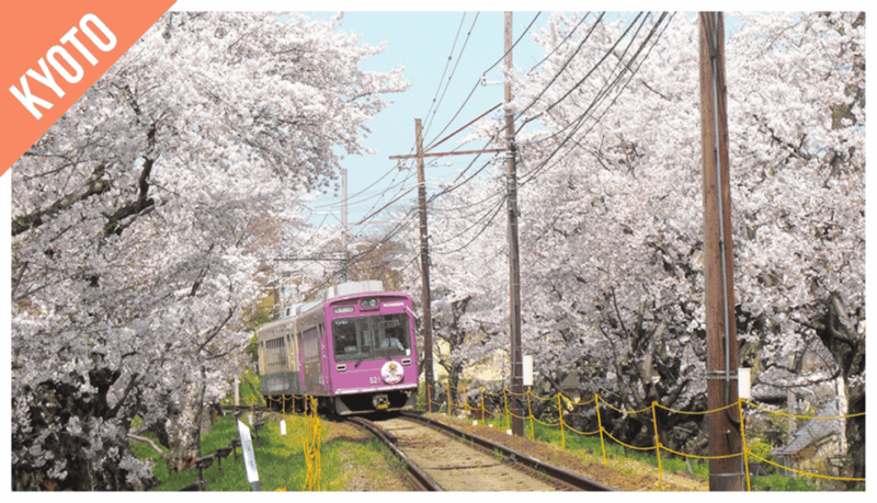 Kansai: Kansai Pass - Destinations and Landmarks Covered
