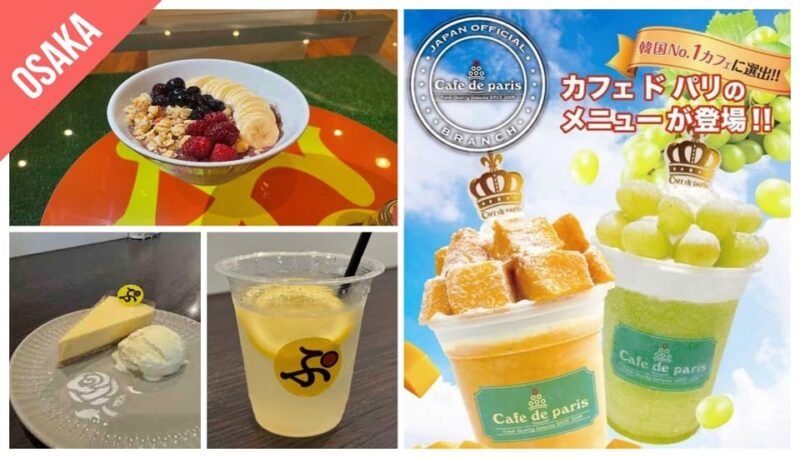 Kansai: Kansai Pass - Included Benefits and Discounts