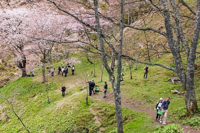 Kansai Region Hiking Adventure in Nara Kobe Kyoto and More - Scenic Highlights