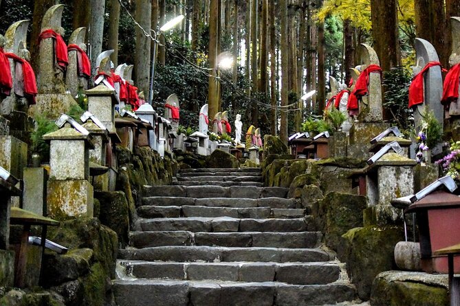 Kansai Region Hiking Adventure in Nara Kobe Kyoto and More - Cultural Experiences