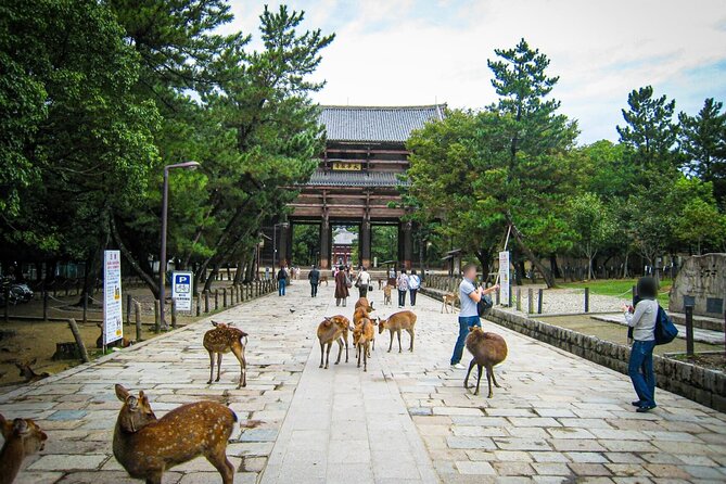 Kansai Region Hiking Adventure in Nara Kobe Kyoto and More - Booking and Cancellation Policy