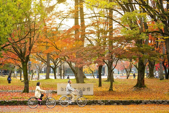Kansai Region Hiking Adventure in Nara Kobe Kyoto and More - What to Bring and Wear