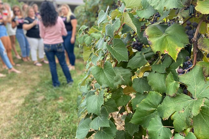Kansas City Brewery, Winery, and Distillery Tour - Additional Tour Information