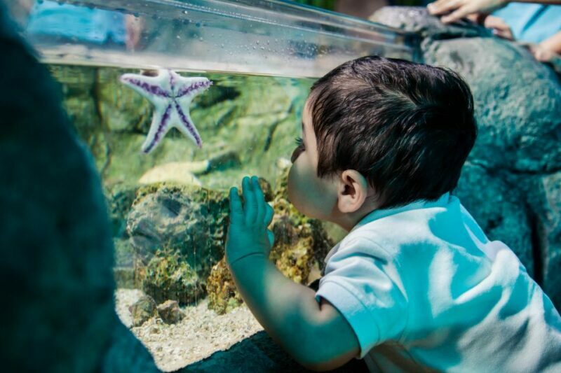 Kansas City: SEA LIFE Kansas City Aquarium General Admission - Key Points