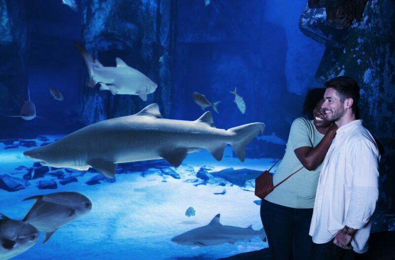 Kansas City: SEA LIFE Kansas City Aquarium General Admission - FAQs