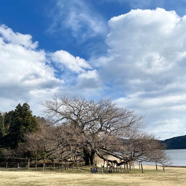 Kanto 10-Hour Chartered Day Trip | Hakone - Frequently Asked Questions