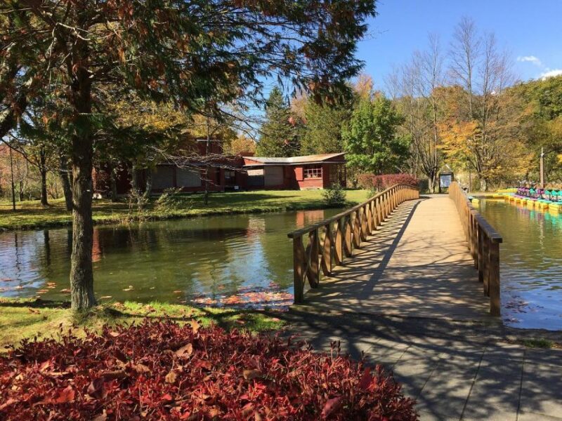 Kanto 10-Hour Chartered Day Trip | Karuizawa - Key Points