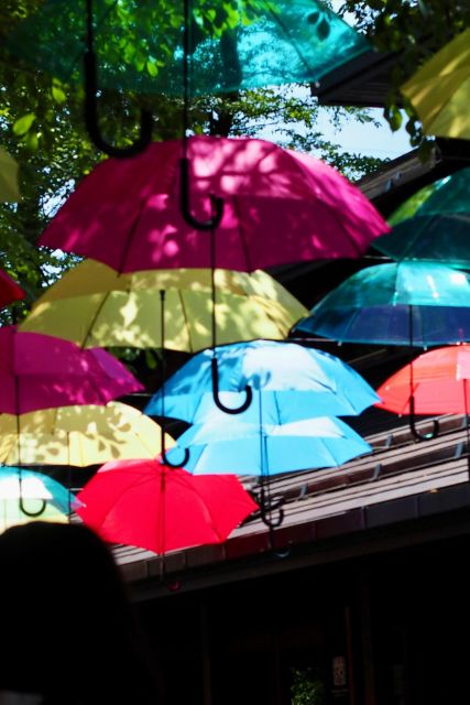 Kanto 10-Hour Chartered Day Trip | Karuizawa - Frequently Asked Questions