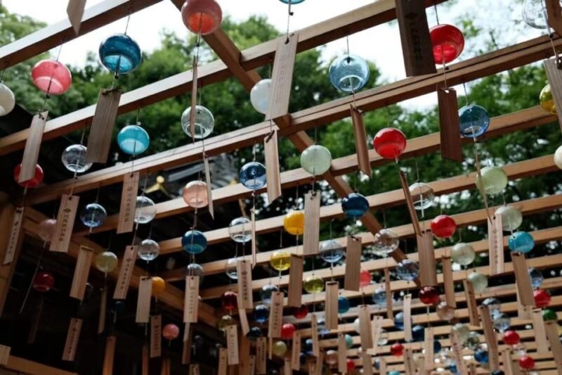 Kanto 10-Hour Chartered Day Trip | Kawagoe - Key Points