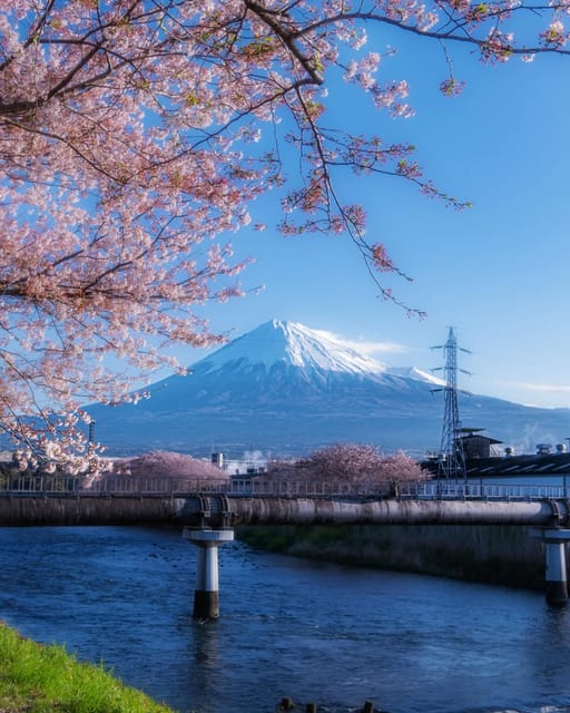 Kanto 10-Hour Chartered Day Trip | Mt. Fuji Day Trip - English-speaking Driver Option