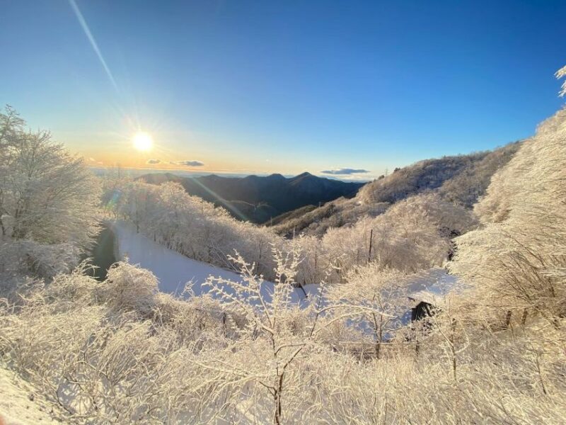 Kanto 10-Hour Chartered Day Trip | Nikko - Multilingual Services