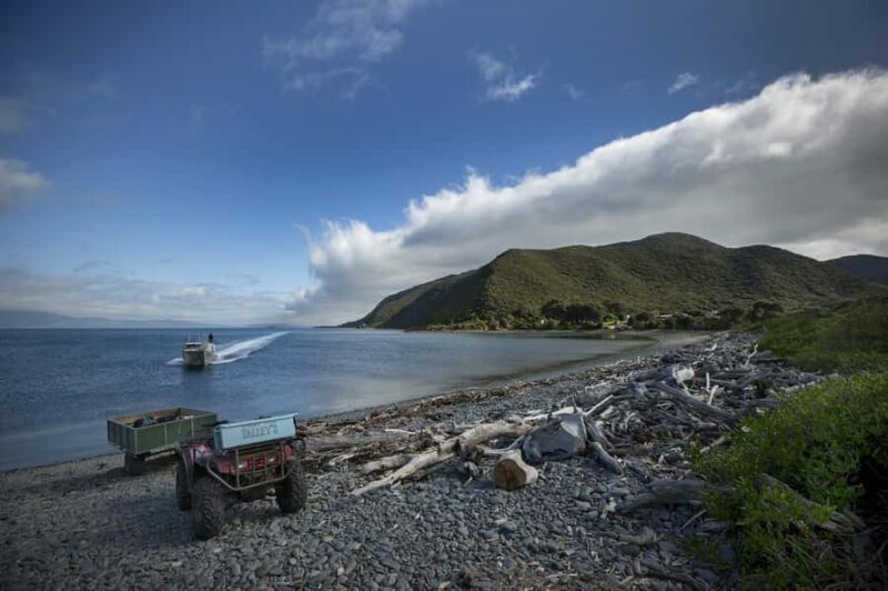 Kapiti Island: Classic Guided Day Tour - Who Will Enjoy This Tour?