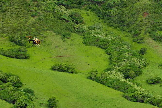 Kapolei: Doors-Off Helicopter Waterfall & Valley Explorer - Aerial Experience