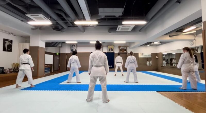 Karate Experience With the Shotokan Karate-Do Instructor - Beginner and Experienced Practitioner Program