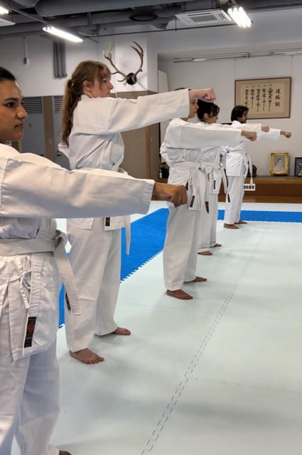 Karate Experience With the Shotokan Karate-Do Instructor - Powerful Instructor Demonstration