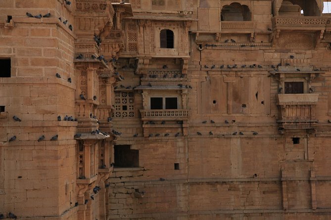 Karauli Village & Wildlife Tour From Jaipur - Pickup Details