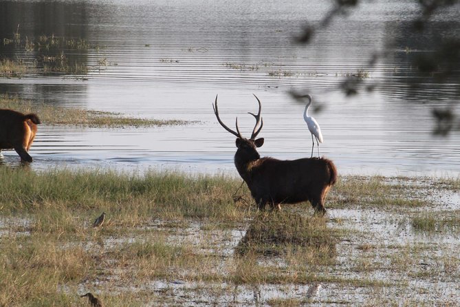 Karauli Village & Wildlife Tour From Jaipur - Experience Highlights