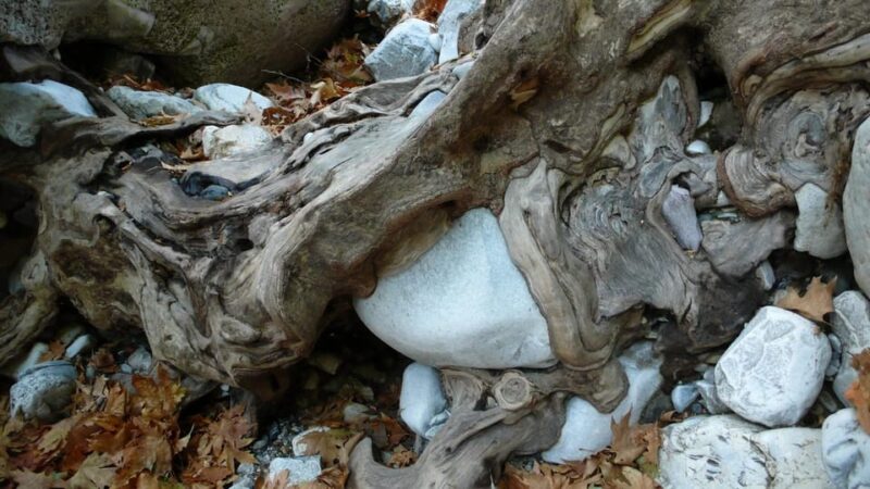 Kardamili : Hiking in Ridomo Gorge - Key Points