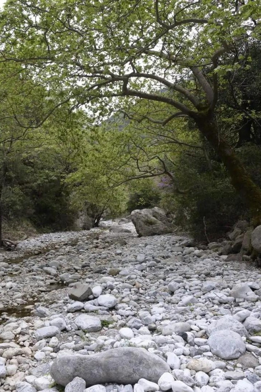 Kardamili : Hiking in Ridomo Gorge - Authentic and Rewarding Trek