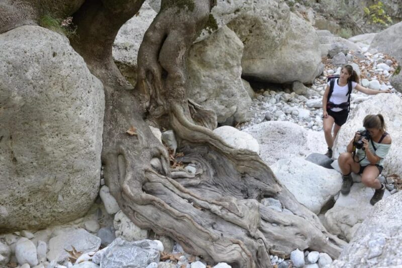 Kardamili : Hiking in Ridomo Gorge - Inclusions and Meeting Point