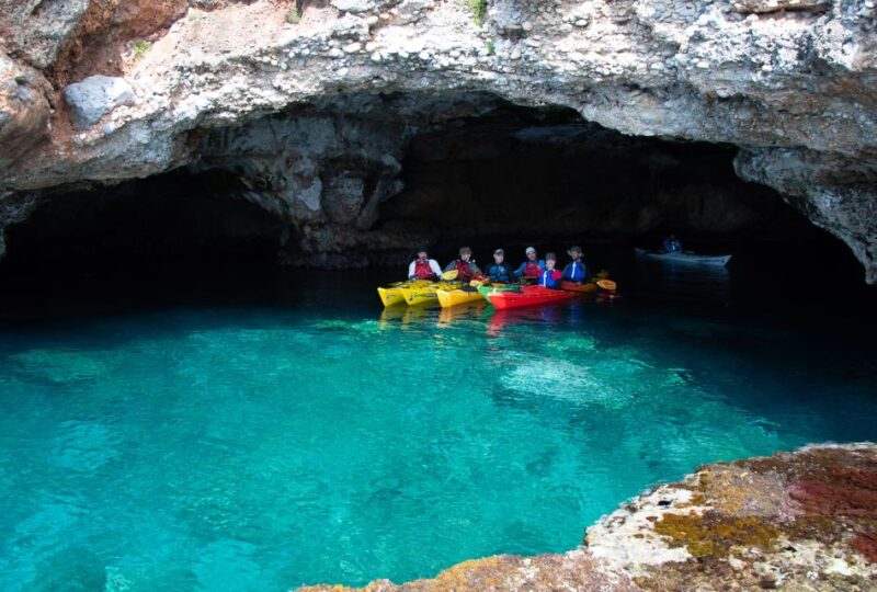 Kardamyli: Sea Kayaking With Lunch - Experiencing the Areas Remarkable Biodiversity