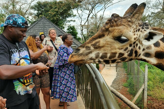 Karen Blixen Museum, Beads Craft and Giraffe Day Tour - Booking and Cancellation