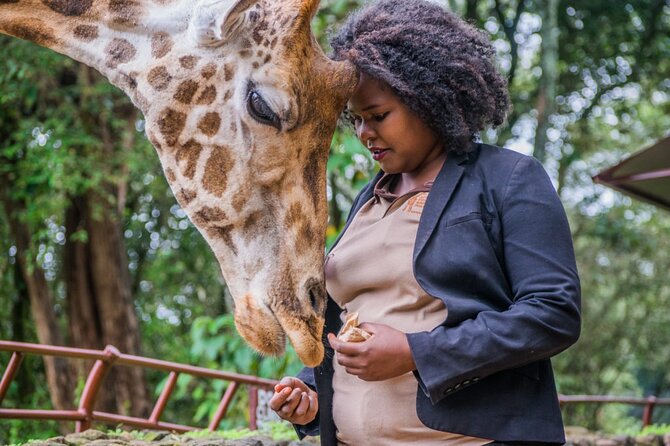 Karen Blixen Museum & Giraffe Centre Half Day Tour - Pickup and Accessibility