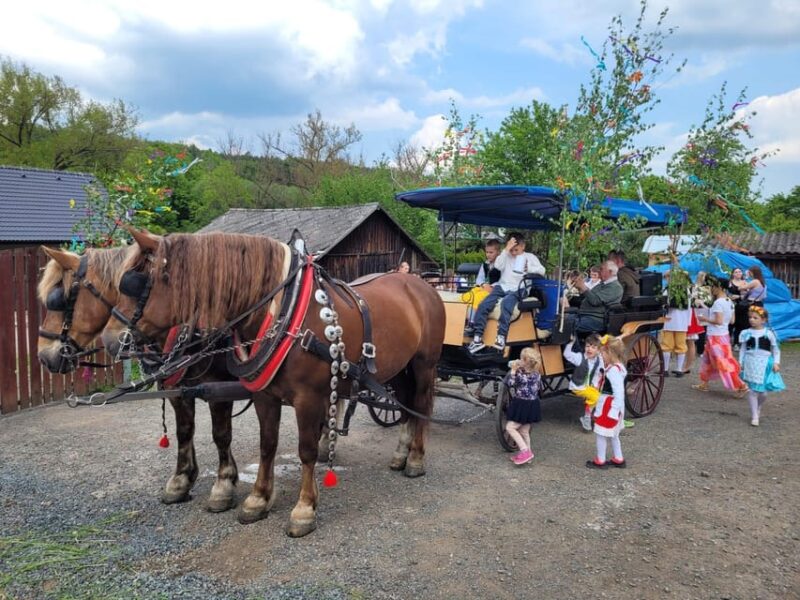 Karlštejn Castle by Horse Carriage - Key Points