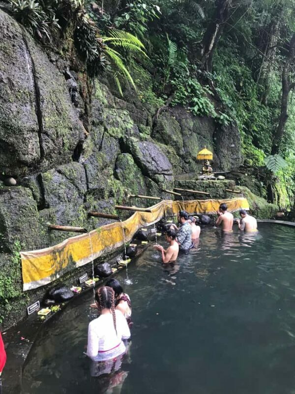 Karma Healing Journey in the Heart of Bali - Final Thoughts